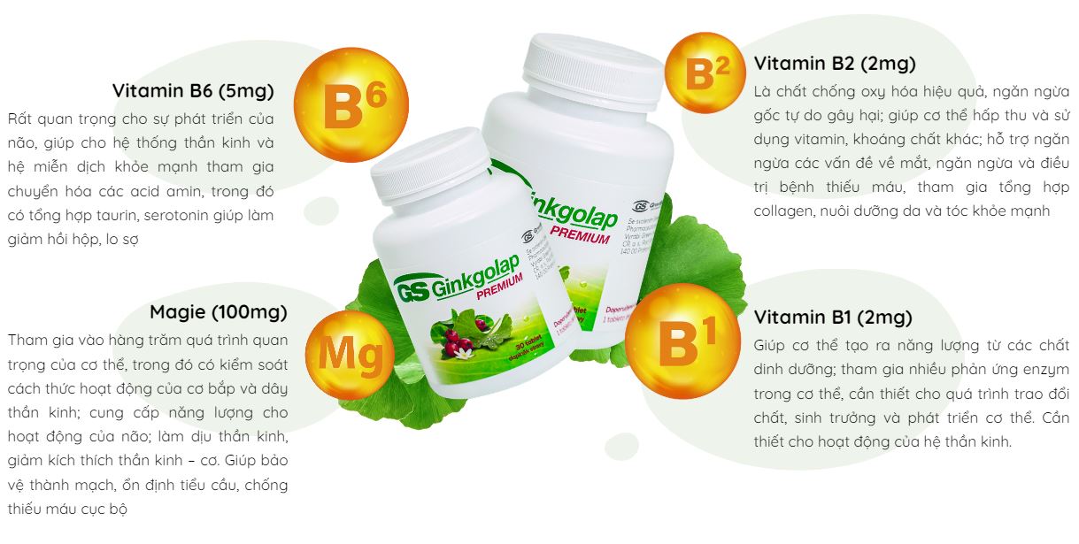 GS Ginkgolap bổ sung các vitamin nhóm B